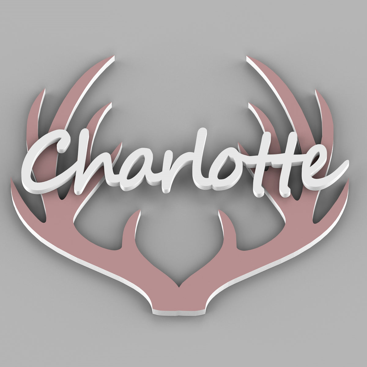 Antlers with Personalized Name